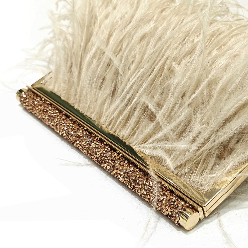 حقيبة كلاتش أنيقة بإطار معدني  - مراجعة Luxury Bags Of 2026 وسعره